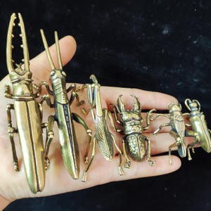 May include: A collection of six brass insect figurines, including beetles and a grasshopper, with intricate details. The insects vary in size and shape, showcasing a range of insect anatomy. The brass has a warm, antique finish.