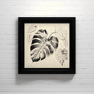 Monstera Deliciosa Blatt Künstlerisches Diagramm | Tropische Pflanze Wanddekor | Botanische Grüne Wand Kunst | Sofort Download Digitaldruck