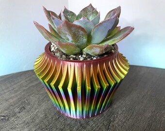 Spike Planter for Succulents - NEW!