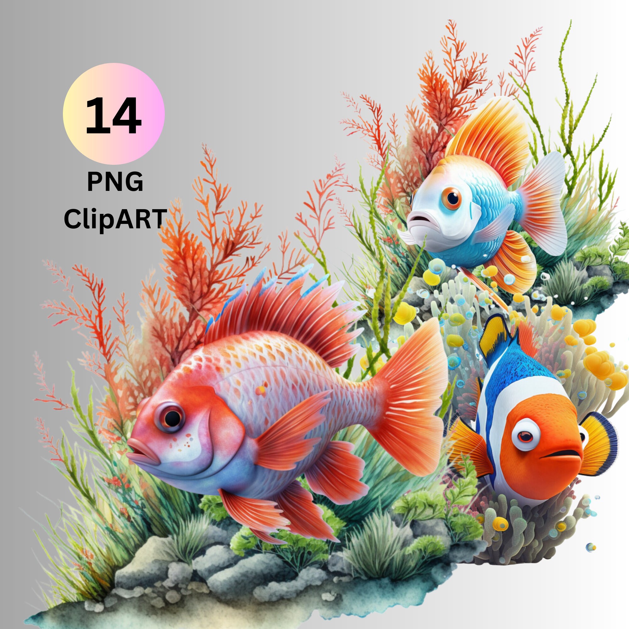 14 Fish Clipart, Transparent Background - Etsy