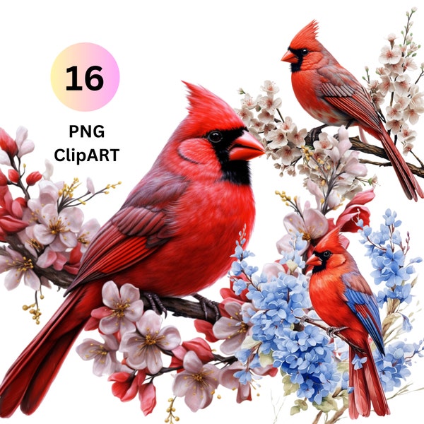 Red Cardinal ClipArt, Birds, Watercolor