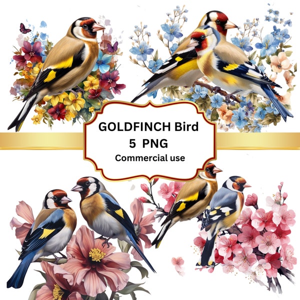 Goldfinch Clipart, Bird Clipart,High resolution Pictures , PNG files, 300 DPI