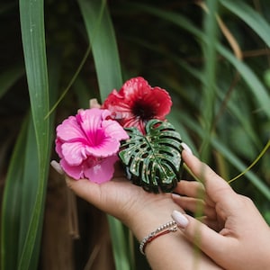 Tropical Hibiscus Monstera Hair Claw Clips Bundle