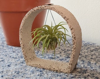 Framed air plant, Ceramic frame for air plant, Tillandsia air plant holder desk, Office Desk Plant Gift, Shelf decor with air plants.