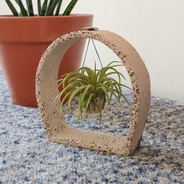 Plante aérienne encadrée, cadre en céramique pour plante aérienne, bureau porte-plante aérienne Tillandsia, cadeau plante de bureau, décoration d'étagère avec plantes aériennes.