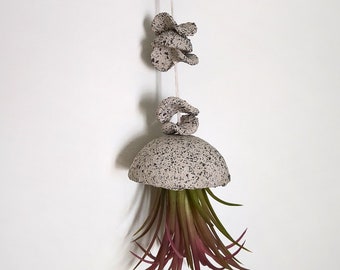 Ceramic holder hanging for air plant, Large jellyfish plant wall decor, Stoneware pot hanging planter for gift,