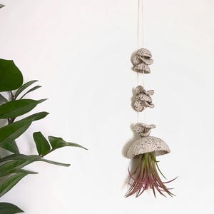 Hanging planter for jellyfish plant, Tillandsia long wall hanger, Overhanging air plant holder, Flying jellyfish, Home gift