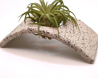 Small air plant holder desk, Office air plant pot, Tillandsia Planter, Indoor air plant hanger, Air plant holder hanging, Indoor plant gift