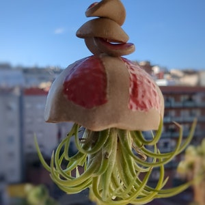Handcrafted Wall Hanger for Jellyfish Plant, Perfect Garden Decoration for air plant, Artisan Wall Hanger