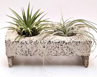 Air plant holder hanging, Ceramic holder for two air plants, Air plant planter idea, air plant display, uniques places for plants,