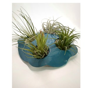 Air plant hanger, Air Plant Display for four air plants, Shelf decor with aerial plants, Ceramic air plant holder, Tillandsia hanger,