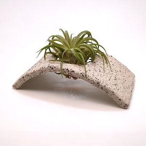 Air plant holder desk, Ceramic air plant display, Tillandsia Planter, Indoor air plant hanger,Air plant holder hanging Indoor gardening gift