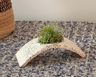 Small air plant holder desk, Office air plant pot, Tillandsia Planter, Indoor air plant hanger, Air plant holder hanging, Indoor plant gift