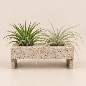 Puede incluir: Una maceta rectangular de color beige con textura moteada que presenta dos aberturas circulares. Cada abertura contiene una planta de aire verde. La maceta está sostenida por dos patas cortas y anchas a los lados.