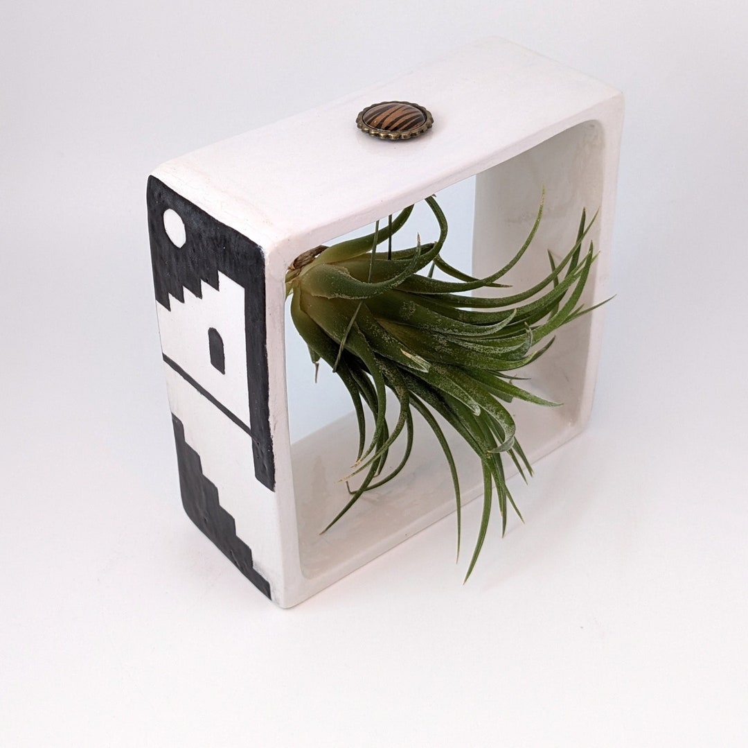 Air Plant Geometric Planter for Desk Decor With Air Plants Etsy