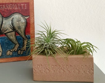 Air plant pot, Ceramic holder for two air plants, gift for women,