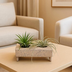 Japandi Ceramic Air Plant Holder