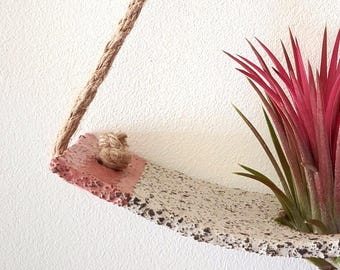 Handmade Stoneware Air Plant Holder Cradle