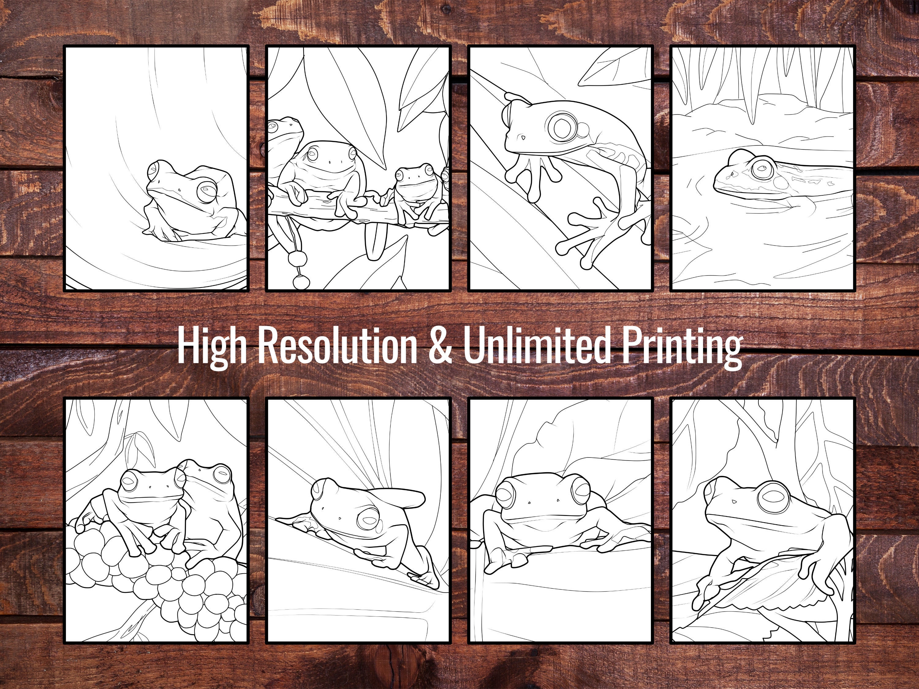 More Simple Frogs Adult Coloring Book, Nature Animals Coloring Pages