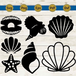 Seashell SVG, Seashell Cricut, Seashell Cut Files, Seashell Silhouette, Digital download, Sea shells Svg, Sea shell Cricut, Beach Svg, Png.