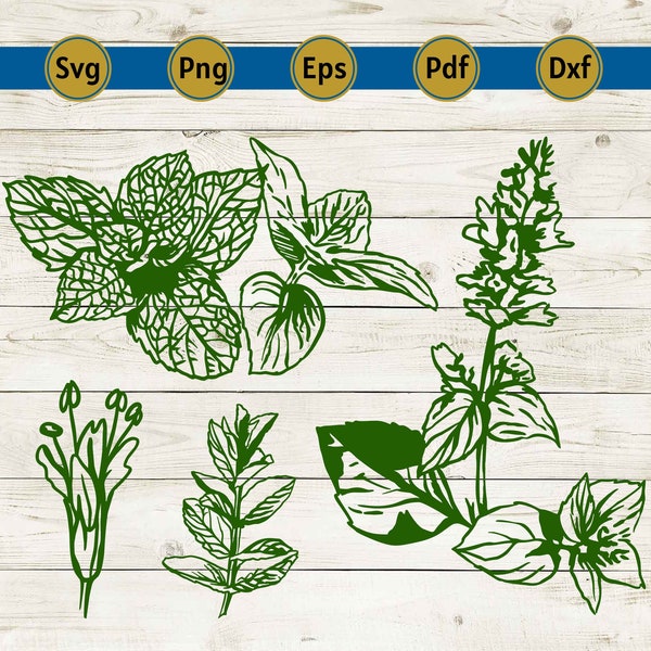 fresh herbs svg, herb svg, medicinal herbs, herb bundle, herb labels, leaves svg, plant svg, botanical svg, png clipart, cut file, dxf, pdf.