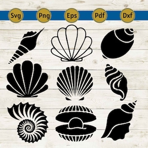 Seashell SVG, Seashell Cricut, Seashell Cut Files, Seashell Silhouette, Sea shells Svg, Sea shell Cricut, Beach Svg, Digital download, Png.