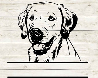 Labrador Retriever svg, laying labrador svg, Labrador png, Labrador clipart, Labrador Retriever art, dog lover gift, png vector cricut cut.