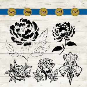 Peonies svg bundle, Peony svg, Peonies Bouquet svg, Floral Arrangement svg, Wedding Flowers svg, Peony Flower, Commercial cutting files.