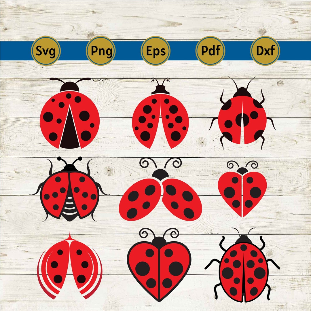 Ladybug Svg, Lady Bug Png, Lady Bugs Svg, Love Bug Svg, Dragonfly Svg ...