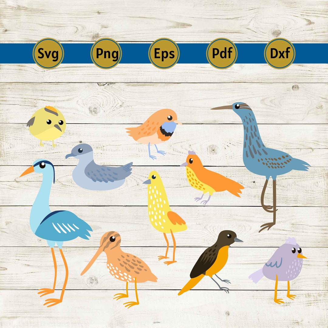 Orange Bird Svg, Humming Bird Svg, Flamingo Svg, Bird Svg, Bird Clipart