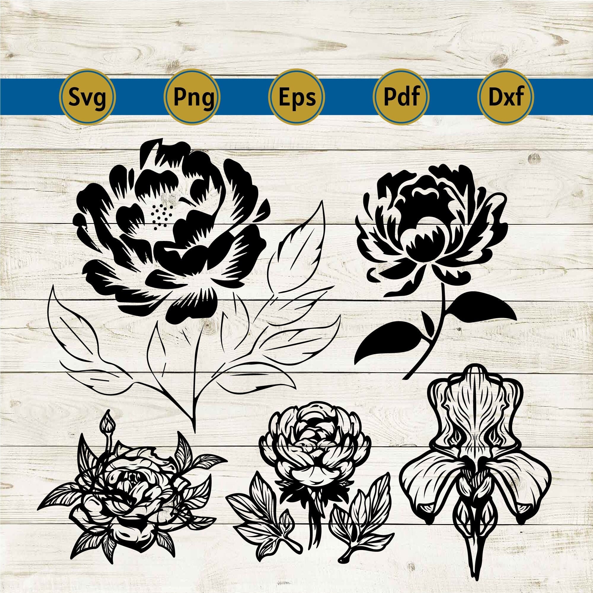 Peony Svg, Peonies Svg, Peony Png, Peony Clipart, Peony Shirt, Flower