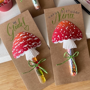 Fliegenpilz Klappkarte mit Reagenzglas zum befüllen, handbemalt. Geburtstag, Glückwünsche, Valentinstag, Geldgeschenk, Name Personalisierbar
