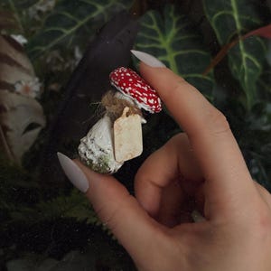 Può includere: Una figura di fungo in miniatura con un cappello rosso e pois bianchi, tenuta tra le dita. La figura include un piccolo cartellino beige e un fascio di quella che sembra essere erba secca. Lo sfondo presenta fogliame verde.
