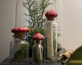 Fly agaric bottle, witchy mushroom decoration, message in a bottle, gift, 3 different sizes