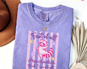 Preschool Teacher Funny Racoon Comfort Colors T-shirt, Teach Team School First Day Matching Tee Shirt, Back To School Gift