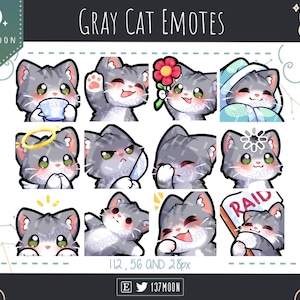 Könnte beinhalten: Eine Sammlung von grauen Katzen-Emotes mit verschiedenen Ausdrücken, darunter das Halten einer Tasse, Winken und das Tragen einer Blume. Die Emotes sind in einem niedlichen Cartoon-Stil gestaltet, mit weißem Hintergrund und dem Text "Gray Cat Emotes".