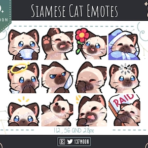 Söta katt-emotes för Twitch | Youtube | Discord | Kawaii | Streama | Siamesisk katt-emote 12-paket #2