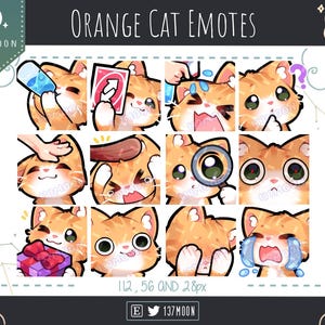 Cute Cat Emotes for Twitch | Youtube | Discord | Kawaii | Stream | Orange Cat Emote 12 Bundle #3