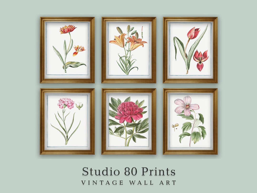 Vintage Flower Prints Set: Botanical Gallery Wall Art (digital Download ...