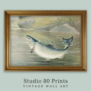Vintage Salmon Art Print: 19th Century Chromolithograph (Digital Download)