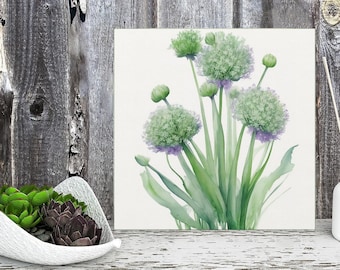 Allium Watercolour Painting Print on Canvas Gallery Wraps, Wall Art, Home Decor, Green Home Accent, Flower Wall Art, Watercolour Print