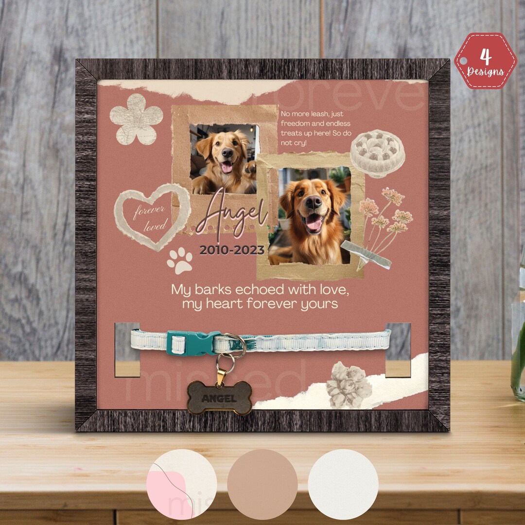 Dog Collar Memorial Gift Memorial Pet Collar With Photo Etsy