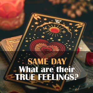 Personalized Tarot Reading: True Feelings & Relationships - Same Day