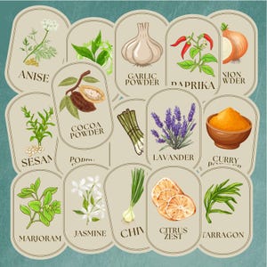 Vintage Apothecary Herb Labels (64 piece): Printable Spice Jar Stickers (Digital Download) image 4