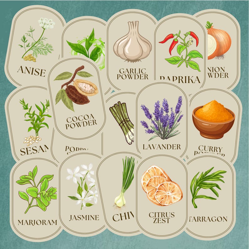 Vintage Apothecary Herb Labels (64 piece): Printable Spice Jar Stickers (Digital Download) image 4