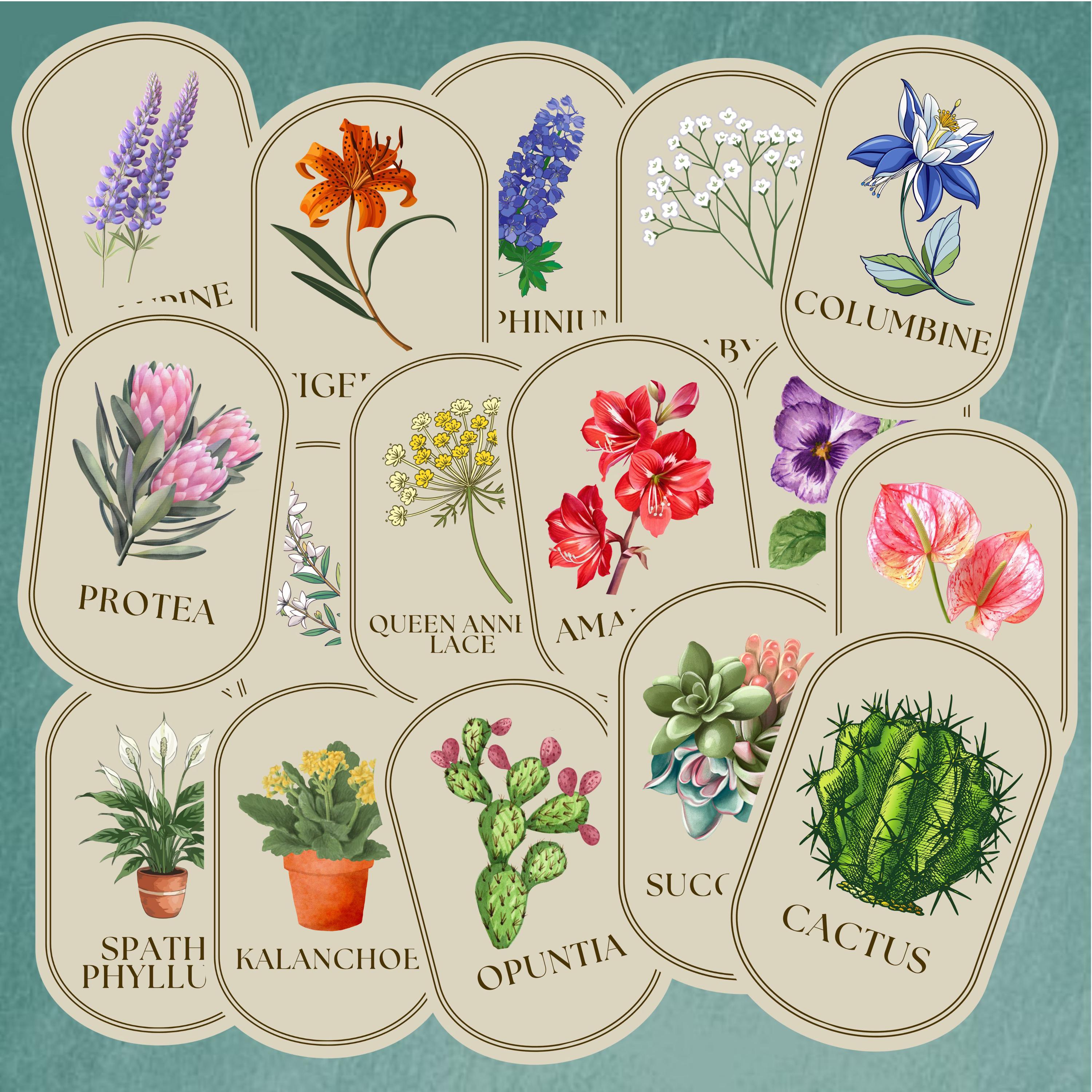 Vintage Flower Seed Packet Labels | Printable Garden & Pantry Stickers ...