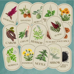 Vintage Apothecary Herb Labels (64 piece): Printable Spice Jar Stickers (Digital Download) image 5