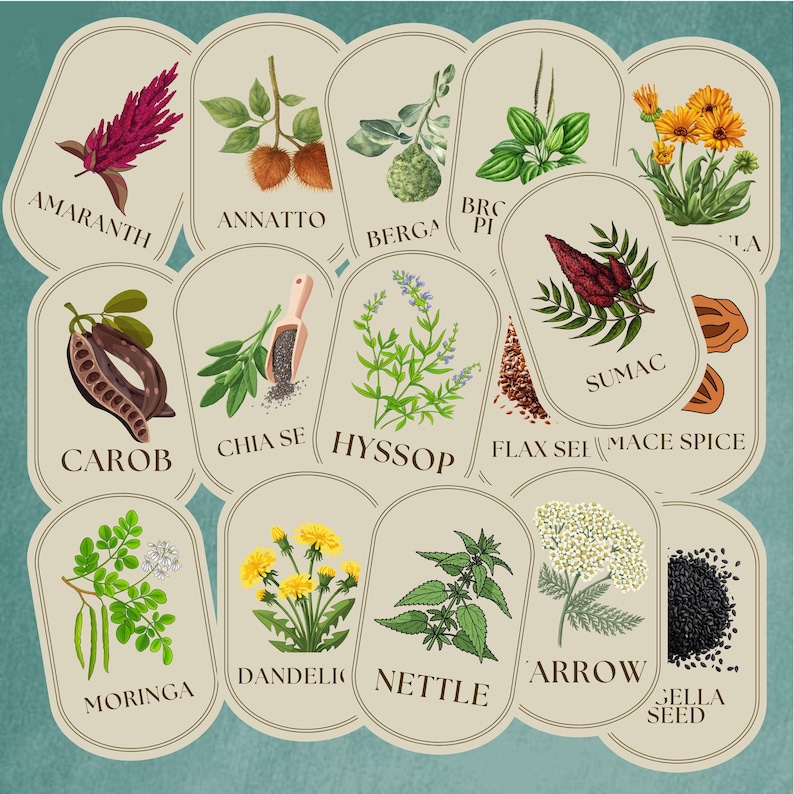 Vintage Apothecary Herb Labels (64 piece): Printable Spice Jar Stickers (Digital Download) image 5