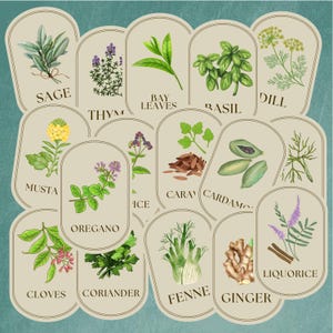 May include: A collection of 14 illustrated labels featuring various herbs and spices, including sage, thyme, bay leaves, dill, basil, oregano, cloves, coriander, fennel, ginger, licorice, mustard, caraway, and cardamom.