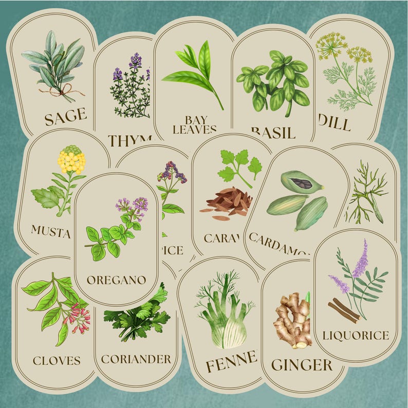 May include: A collection of 14 illustrated labels featuring various herbs and spices, including sage, thyme, bay leaves, dill, basil, oregano, cloves, coriander, fennel, ginger, licorice, mustard, caraway, and cardamom.
